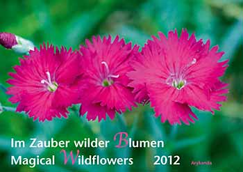 Wilde Blumen 2012